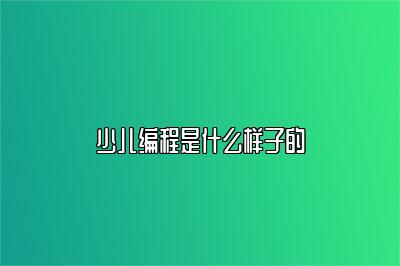 少儿编程是什么样子的 
