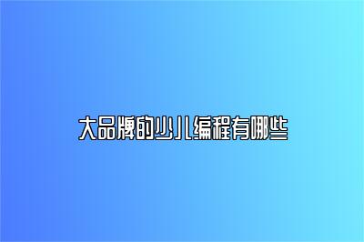 大品牌的少儿编程有哪些 