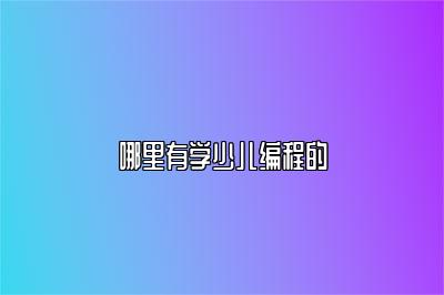 哪里有学少儿编程的 