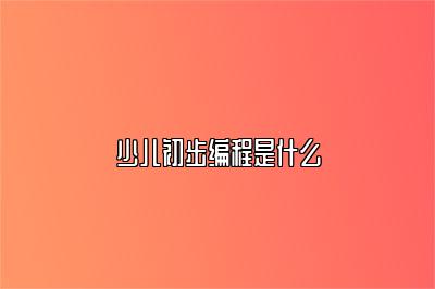 少儿初步编程是什么 