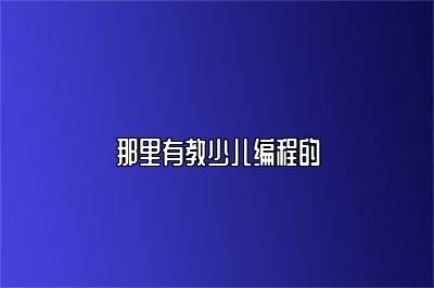 那里有教少儿编程的 