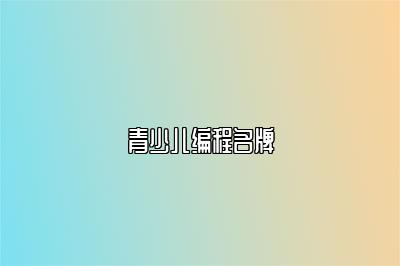 青少儿编程名牌 