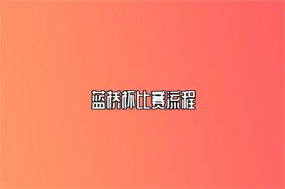 蓝桥杯比赛流程 