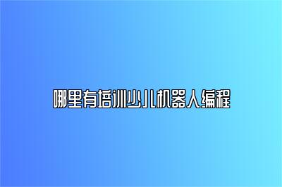 哪里有培训少儿机器人编程