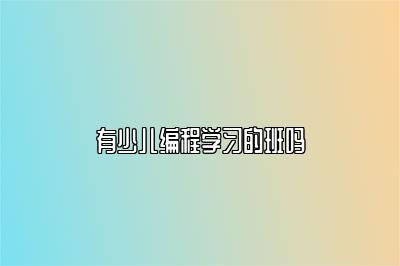 有少儿编程学习的班吗 