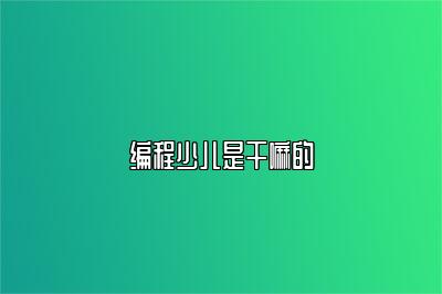 编程少儿是干嘛的 