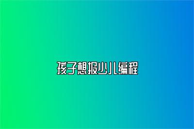孩子想报少儿编程 