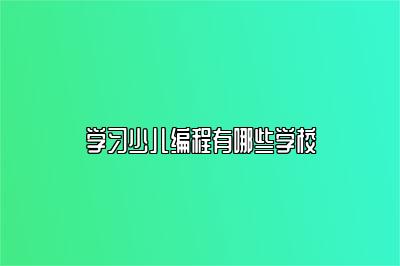 学习少儿编程有哪些学校 