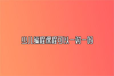 少儿编程课程可以一对一吗 