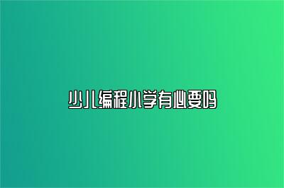 少儿编程小学有必要吗 