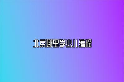 北京哪里学少儿编程 