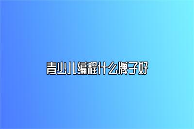 青少儿编程什么牌子好 