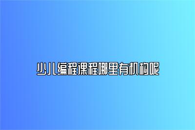 少儿编程课程哪里有机构呢 