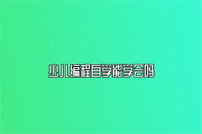 少儿编程自学能学会吗 