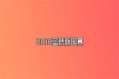 2016蓝桥杯国赛 