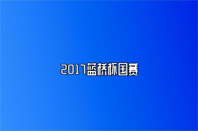 2017蓝桥杯国赛