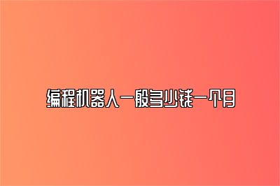 编程机器人一般多少钱一个月 