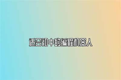 适合初中的编程机器人 