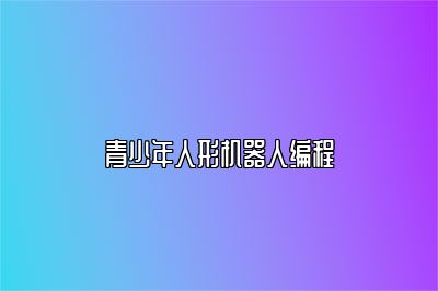 青少年人形机器人编程 