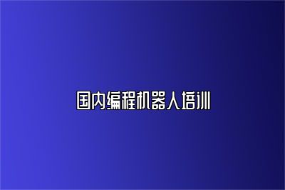 国内编程机器人培训