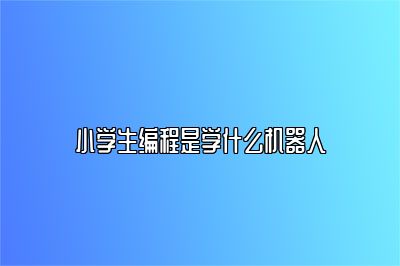 小学生编程是学什么机器人 