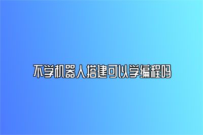 不学机器人搭建可以学编程吗 
