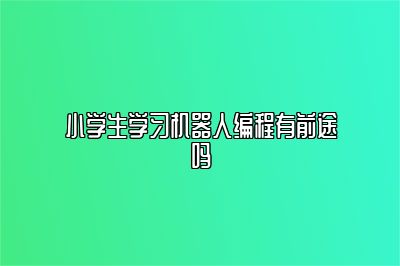 小学生学习机器人编程有前途吗