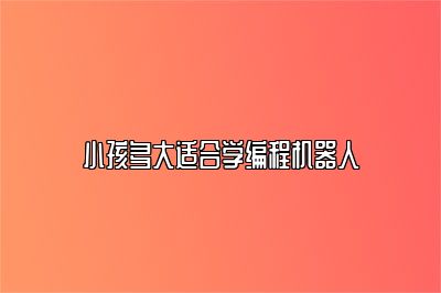 小孩多大适合学编程机器人 
