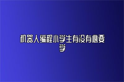 机器人编程小学生有没有必要学