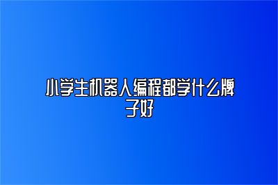 小学生机器人编程都学什么牌子好 