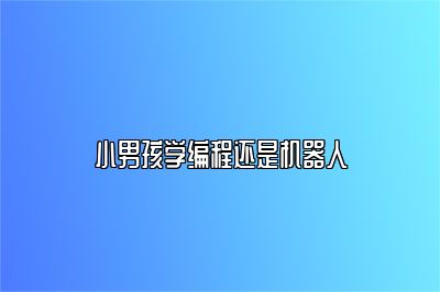 小男孩学编程还是机器人 