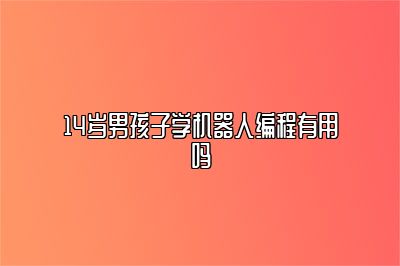 14岁男孩子学机器人编程有用吗 