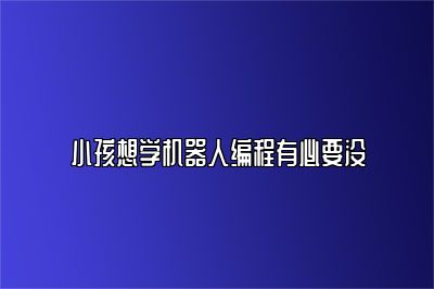 小孩想学机器人编程有必要没