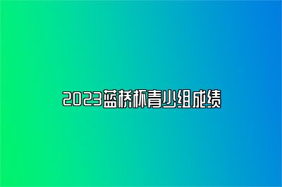 2023蓝桥杯青少组成绩