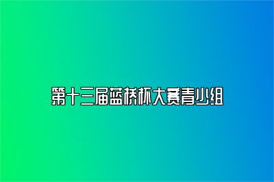 第十三届蓝桥杯大赛青少组 