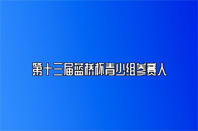 第十三届蓝桥杯青少组参赛人