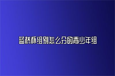 蓝桥杯组别怎么分的青少年组 