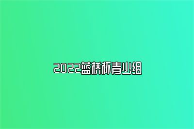 2022蓝桥杯青少组 