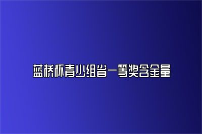 蓝桥杯青少组省一等奖含金量