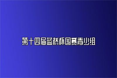 第十四届蓝桥杯国赛青少组