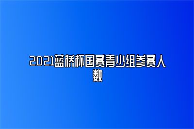 2021蓝桥杯国赛青少组参赛人数 