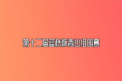 第十二届蓝桥杯青少组国赛