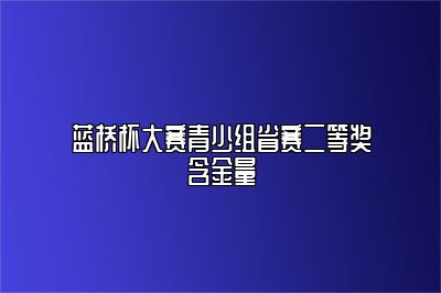 蓝桥杯大赛青少组省赛二等奖含金量 