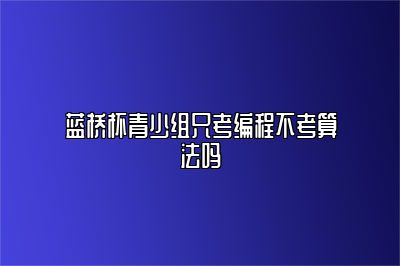 蓝桥杯青少组只考编程不考算法吗 