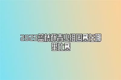 2023蓝桥杯青少组国赛在哪里比赛 