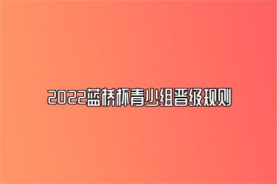 2022蓝桥杯青少组晋级规则 