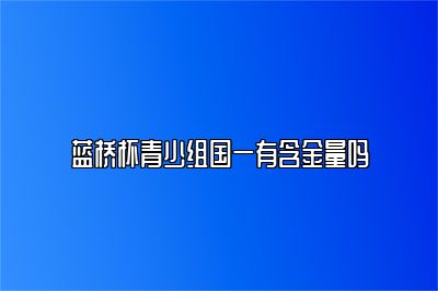 蓝桥杯青少组国一有含金量吗