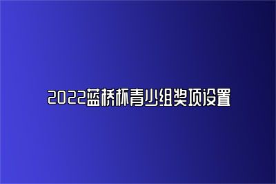 2022蓝桥杯青少组奖项设置