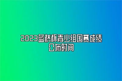 2023蓝桥杯青少组国赛成绩公布时间