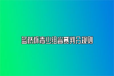 蓝桥杯青少组省赛判分规则 